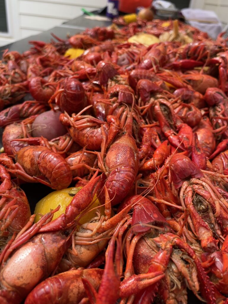 boiled crawfish